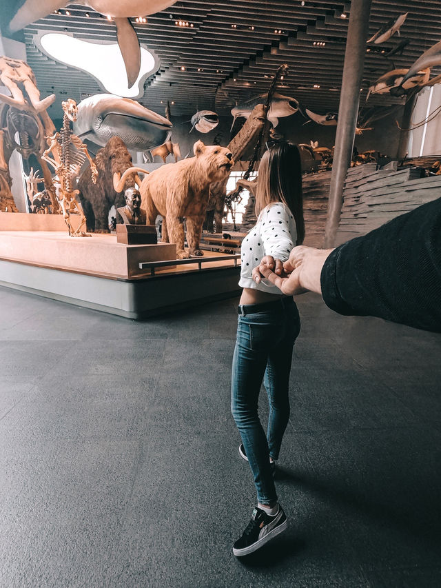 Самый красивый Шанхайский музей природы 🦖🇨🇳