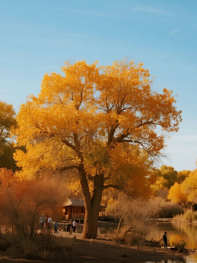 額濟納旗親子賞秋攻略帶娃玩轉胡楊林+沙漠秘境 額濟納旗親子賞秋攻略帶娃玩轉胡楊林+沙漠秘境