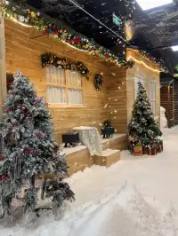 不用去北歐！惠州就能撸真企鵝+冰雪滑梯！