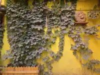 什麼?!莫蘭迪色古城!你是說!喀什古城