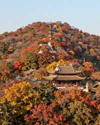 建築與自然的詩意碰撞|踏千年城垣,尋江南福地,感受古邑風雅