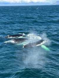 計劃去冰島的趕緊存給P人懶人一點點震撼