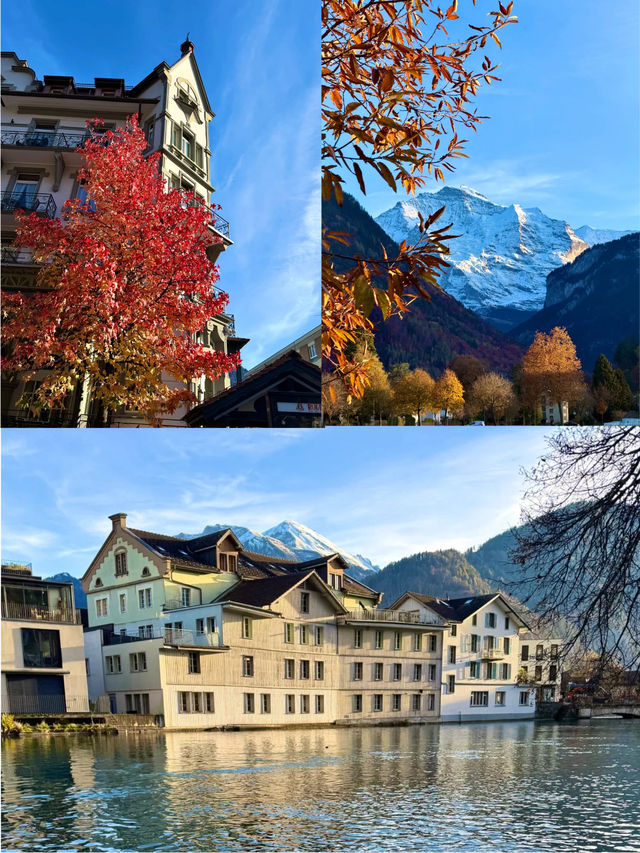 意瑞秋冬私家團攻略暖遊指南