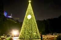 聖誕樹下的浪漫許願夜