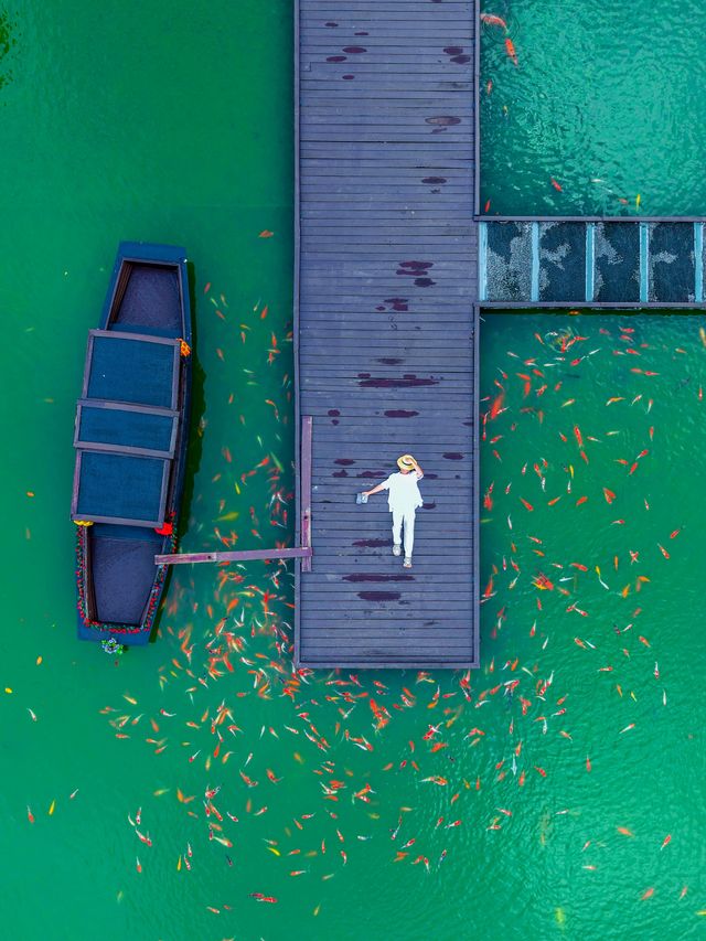 去九華山玩的朋友有福了！禪意酒店絕絕子！