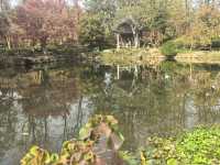 上海植物園隨拍