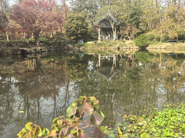 上海植物園隨拍