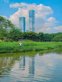 去一萬次都不夠！深圳我最愛的治癒系公園！