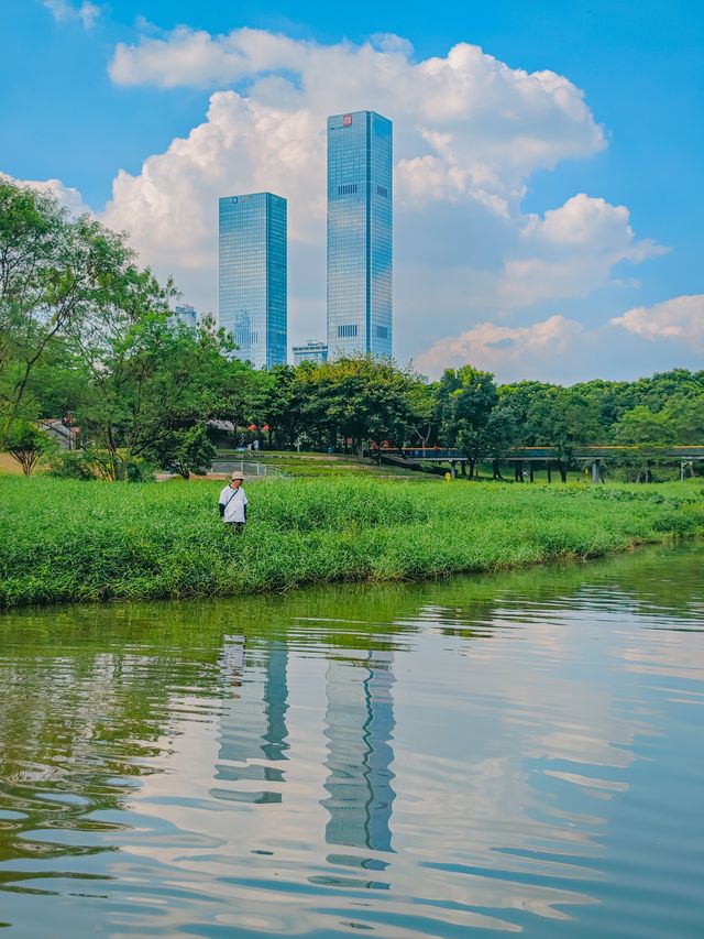 去一萬次都不夠！深圳我最愛的治癒系公園！