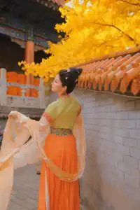 巨出片西安嚴重被低估的皇家寺院