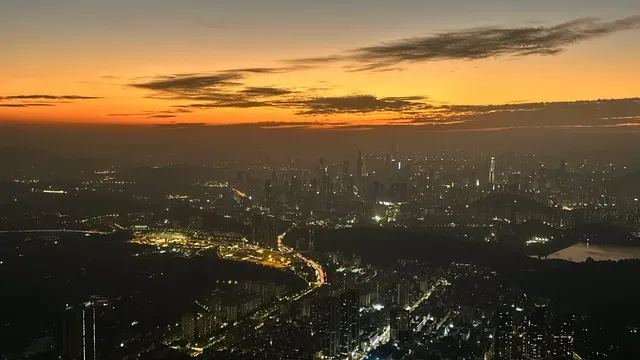 偶遇梧桐日落 偶遇梧桐日落