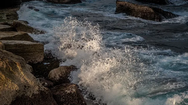 悉尼 | 從Little Bay到La Perouse