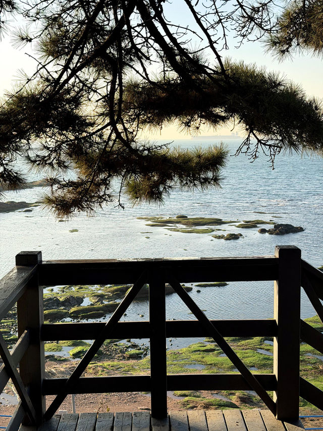 青島冬日Seawalk新路線太平角公園拍照攻略Get! 青島冬日Seawalk新路線太平角公園拍照攻略Get!