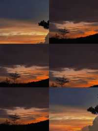 標題：廬山杉與山青民宿，住進雲裡的森系治癒窩！