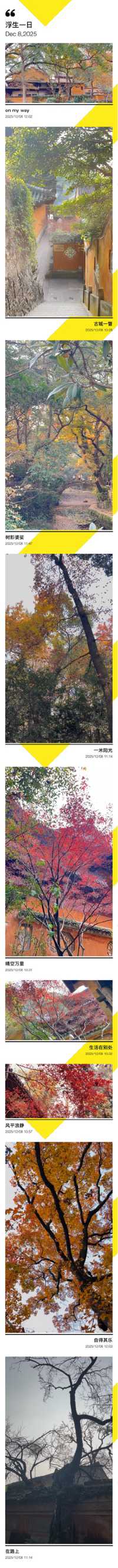 台州三日遊｜小箬村的彩虹糖罐美到犯規！