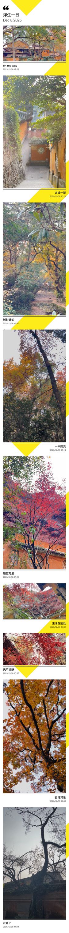 台州三日遊｜小箬村的彩虹糖罐美到犯規！