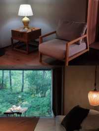 武夷山養巖山房:藏於松林的禪意棲居