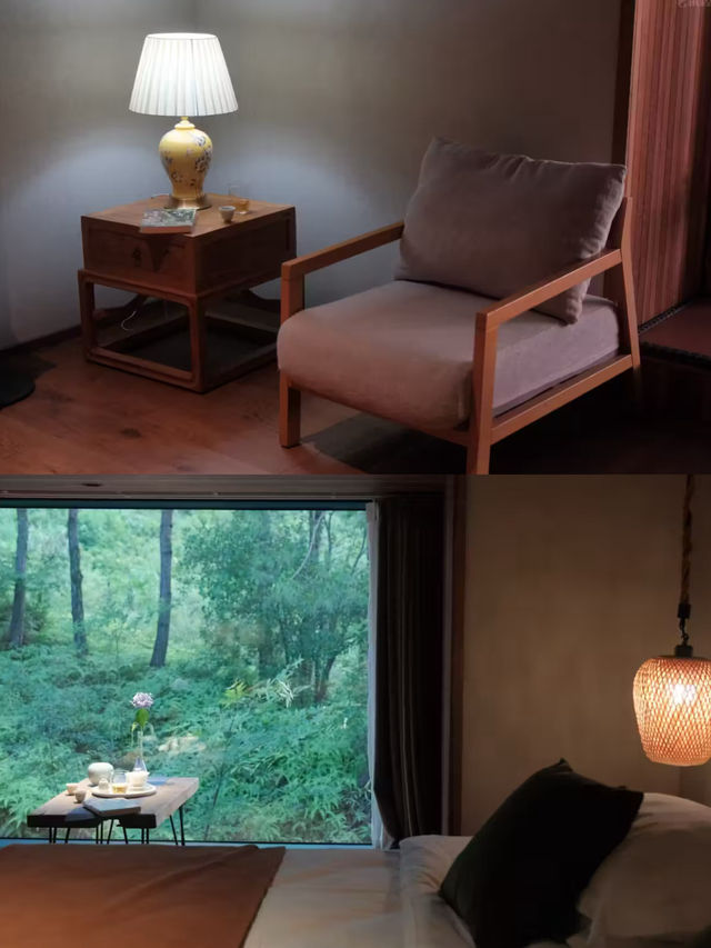 武夷山養巖山房:藏於松林的禪意棲居 武夷山養巖山房:藏於松林的禪意棲居