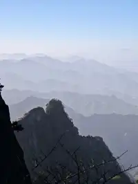 11.28登黃山後復盤