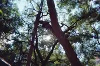 一座城一卷膠|南寧