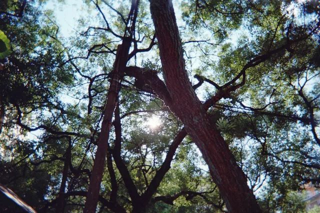 一座城一卷膠|南寧 一座城一卷膠|南寧