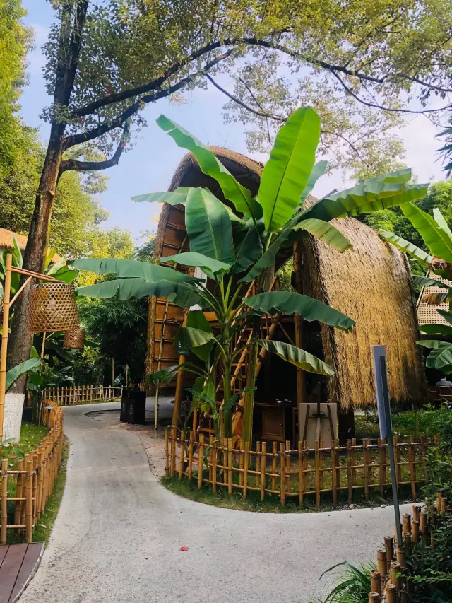 A slow family trip for New Year's Eve in Chengdu is a must for the whole family