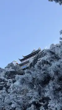 九華山兩天一夜攻略|抱佛腳 沒煩惱🪷