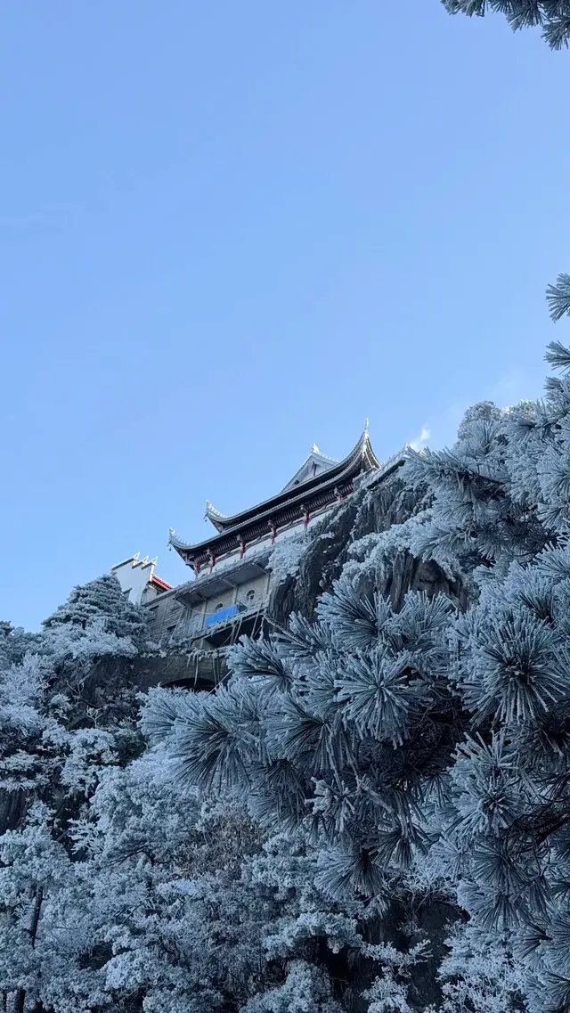 九華山兩天一夜攻略|抱佛腳 沒煩惱🪷