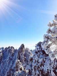 12月-2月來郴州莽山的!存下吧超全的!小眾玩雪地必衝!