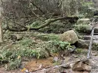 揚州自駕莫干山一日半｜避坑+驚喜全攻略