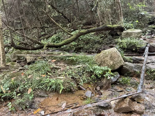 揚州自駕莫干山一日半｜避坑+驚喜全攻略