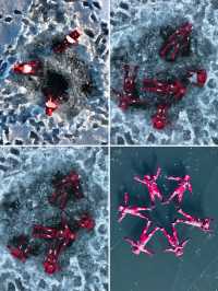 全新阿勒泰 | 在冰河上漂浮,粉雪中醒來