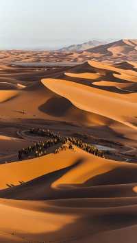 花海寫真打卡地