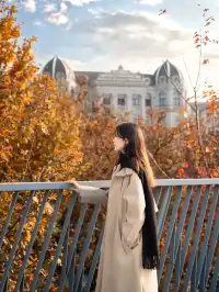 被問瘋的上海楓葉旋梯錯過真的等一年…