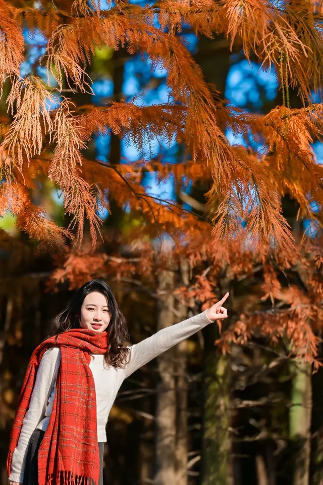 快!尚湖全紅了!現在!立刻!馬上!出發! 快!尚湖全紅了!現在!立刻!馬上!出發!