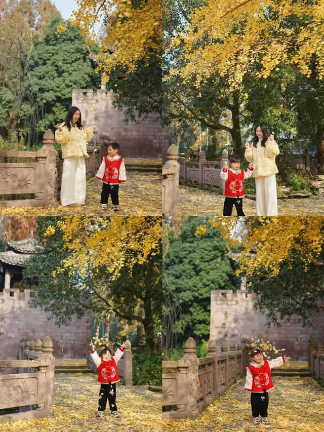 溫江藏著一個「紫禁城」，和銀杏同框太美啦