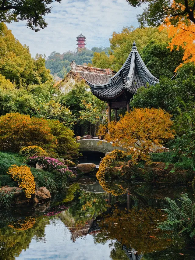 打翻調色盤,最後一次這個視角做寄暢園封面 打翻調色盤,最後一次這個視角做寄暢園封面