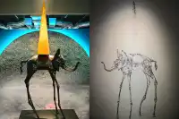 上海看展｜闖入達利的超現實夢境外灘老建