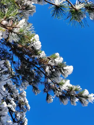 ฮวงซาน 2 วัน｜ขึ้นทางเหนือ ลงทางใต้ ไม่เหนื่อยขา