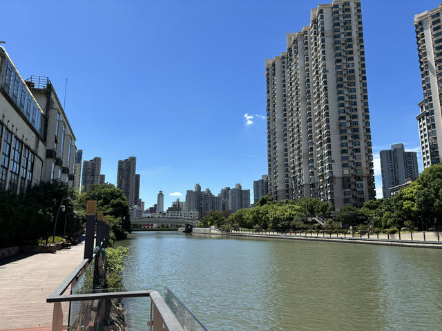 無懼秋老虎,打卡「千樹」之城,歷史的變遷,不定期更新 無懼秋老虎,打卡「千樹」之城,歷史的變遷,不定期更新