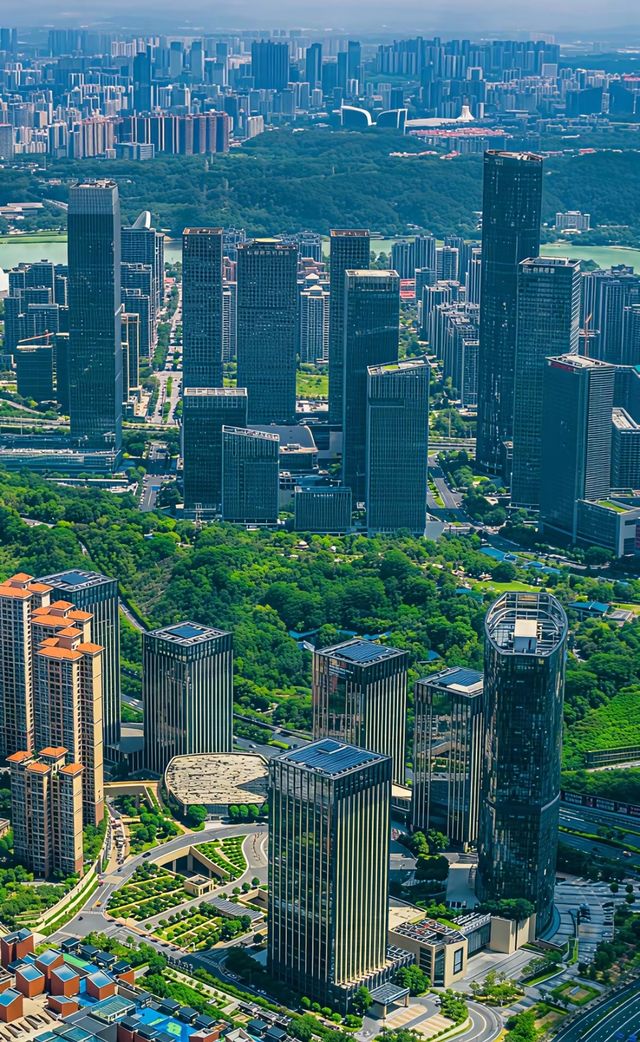 綠城南寧的晴天絕了 綠城南寧的晴天絕了