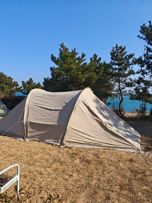 冬日海邊記 冬日海邊記