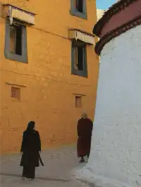 拉薩色拉寺|冬日光影封神時刻