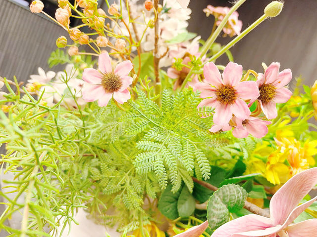 家庭出遊首選 家庭出遊首選