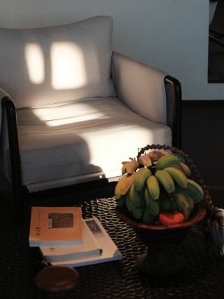 A Flower, A World|Zen Life Hidden Between the Pages