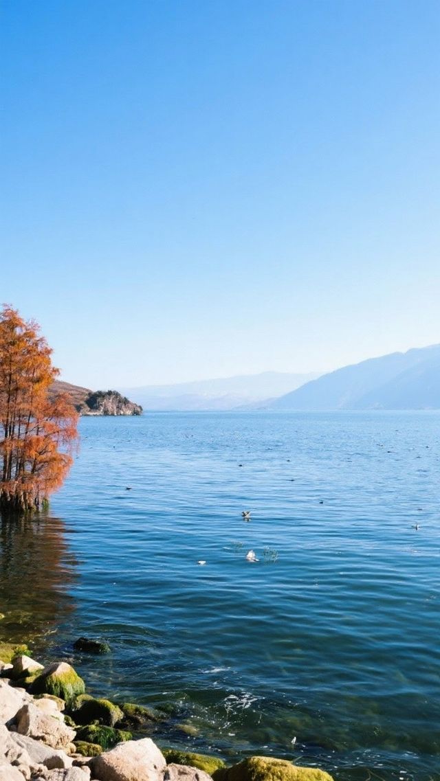 大理一次奇妙的旅行,永生難忘! 大理一次奇妙的旅行,永生難忘!