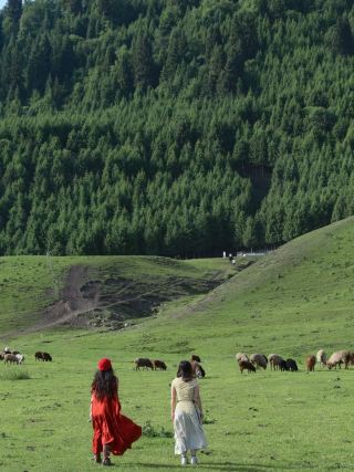 เหล่านักธุรกิจใจเสาะแห่งเซี่ยงไฮ้ ฟังทางนี้! หนีไปซินเจียงในวันแรงงานปีนี้ เพื่อเยียวยาความวุ่นวายภายในใจของคุณ!