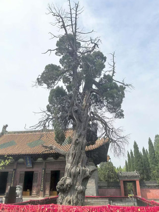 Jidu Temple: The "Living Fossil" of Central Plains Ancient Architecture and the Lost Sacred Water