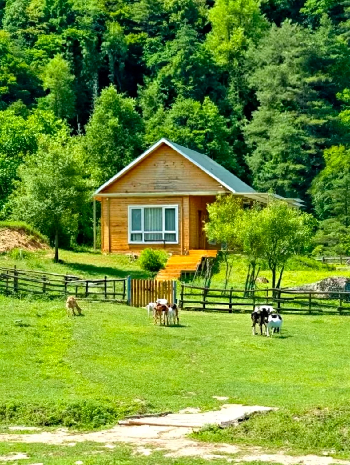Hidden "Little Switzerland" in the Qinling Mountains | Comprehensive Nanny-Level Travel Guide for Liuba, Lazy Travelers Can Just Copy