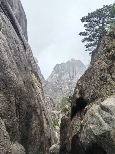 夏でも黄山に登れる！独特な景色が手軽に楽しめる！ | Trip.com 黄山